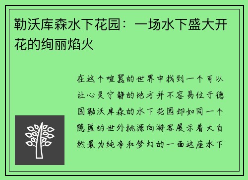 勒沃库森水下花园：一场水下盛大开花的绚丽焰火